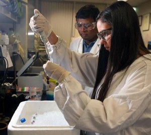 Image of lab workers for our ranking of scholarships for minorities