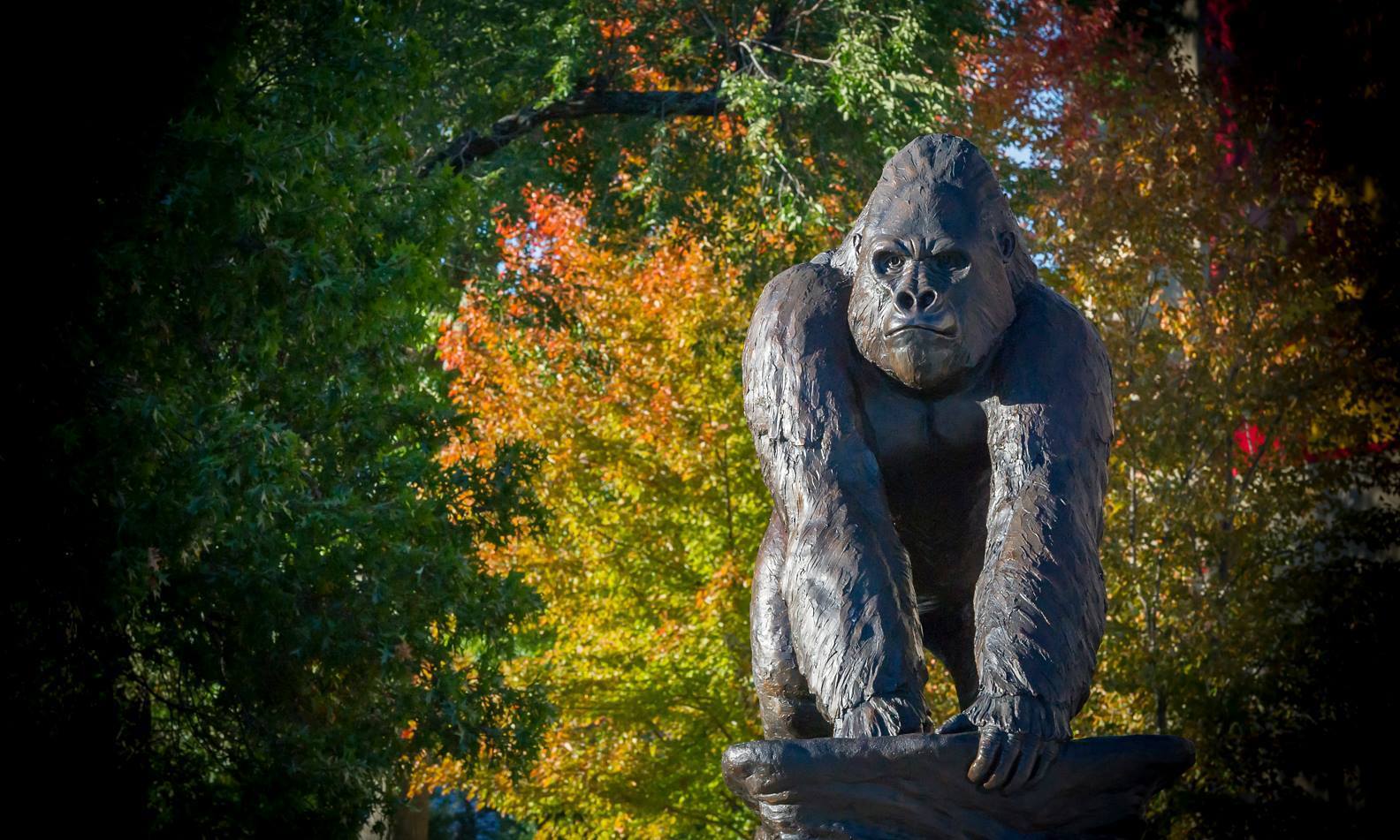 Pittsburg State University Great College Deals