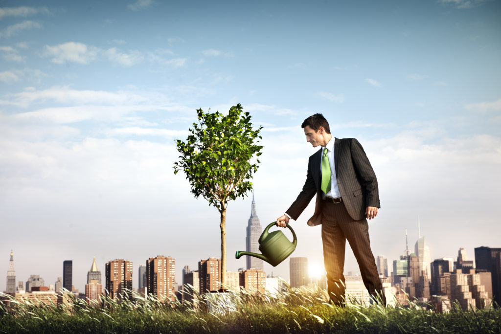 Image of businessman watering a tree for our coverage of Super Entrepreneurial Scholarships