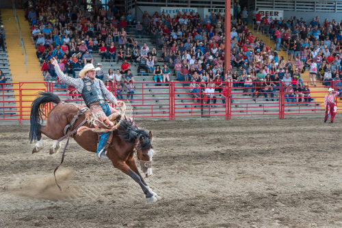 Image of rodeo rider for our article on top rodeo scholarships
